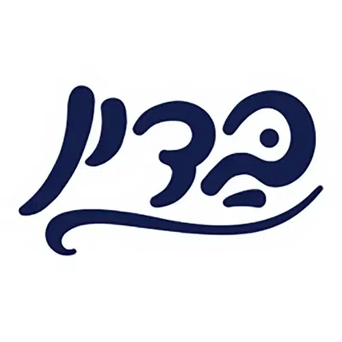 לוגו בדין